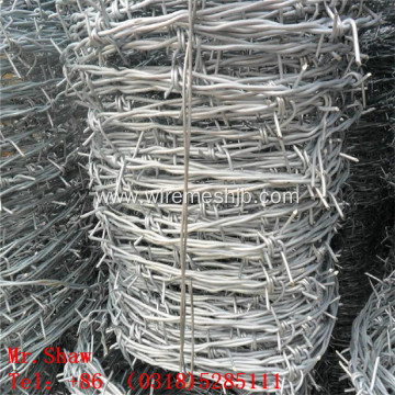 Electro Galvanized Barbed Wire For Protection